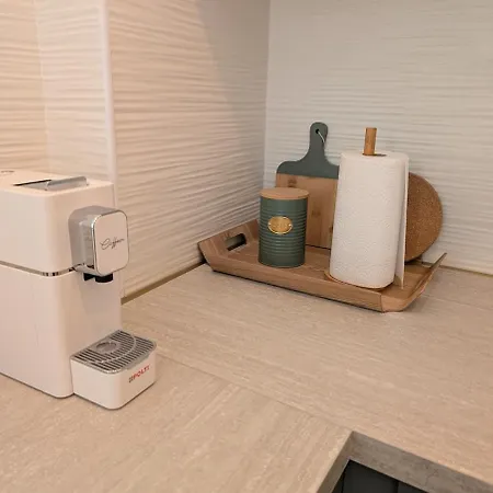 公寓 Luxury Next To Beaches And Old Town 昂蒂布